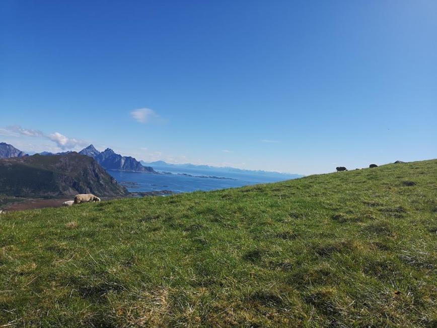 Glamping Lofoten Hotel Kongsjorda Buitenkant foto